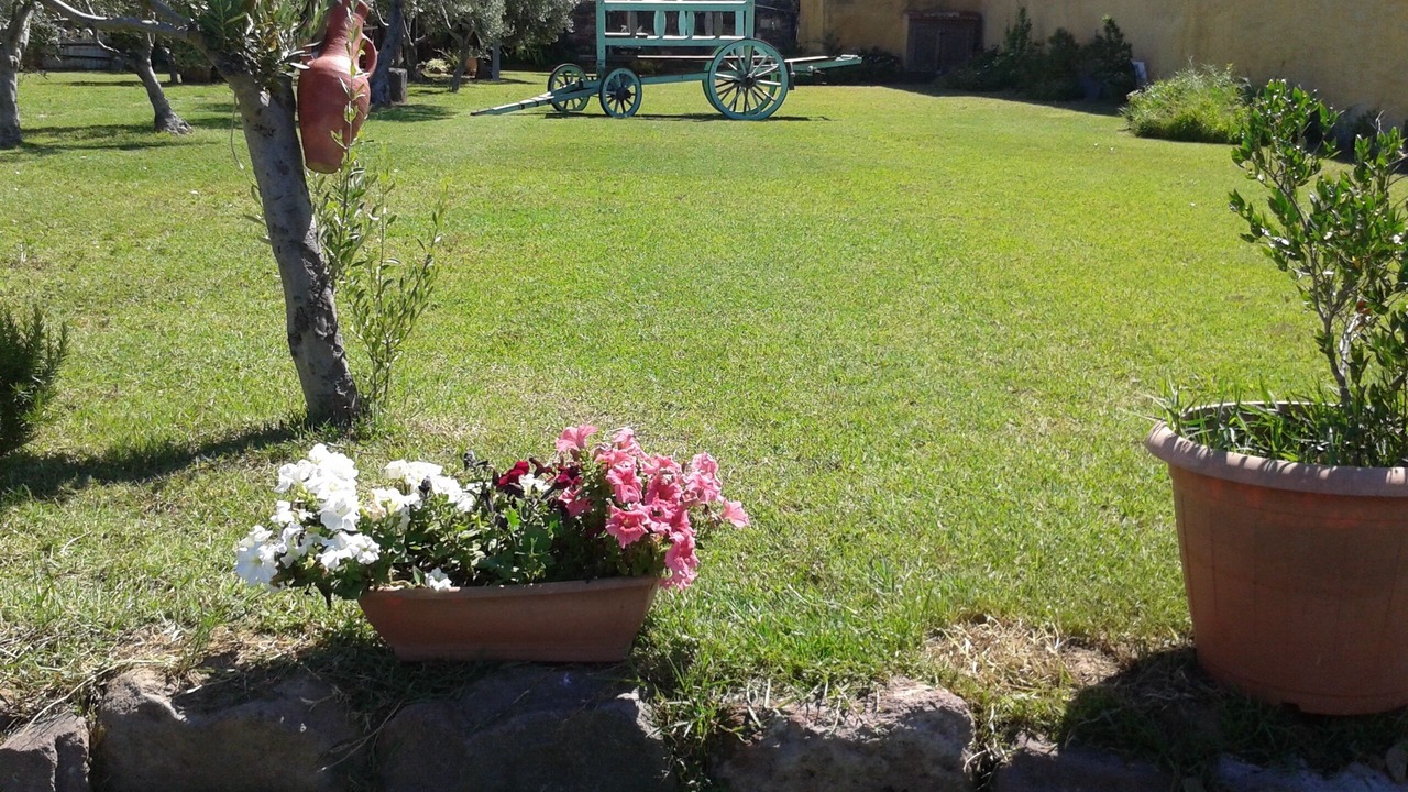 Photo of Outdoor in San Giovanni Suergiu