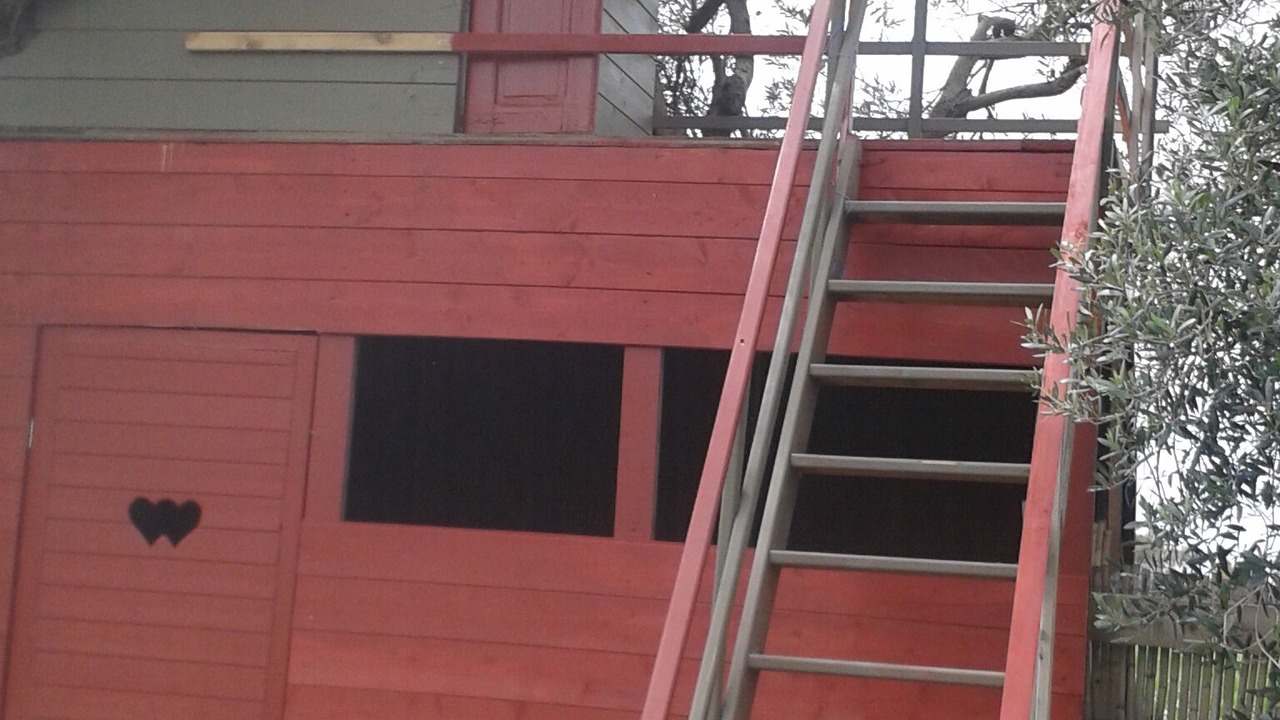 Photo of Others in San Giovanni Suergiu