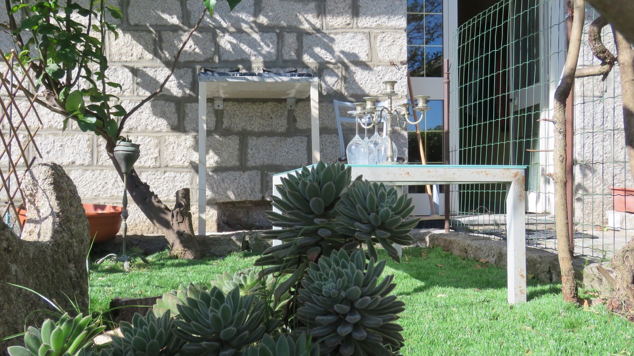 Photo of Outdoor in Luogosanto