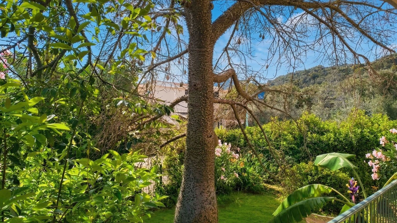 Photo of Others in Arbatax