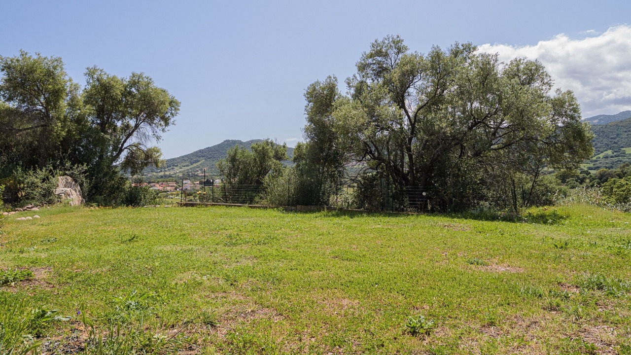 Photo of Others in San Teodoro