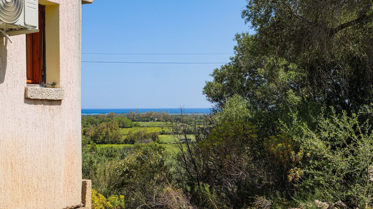 Photo of Others in San Teodoro