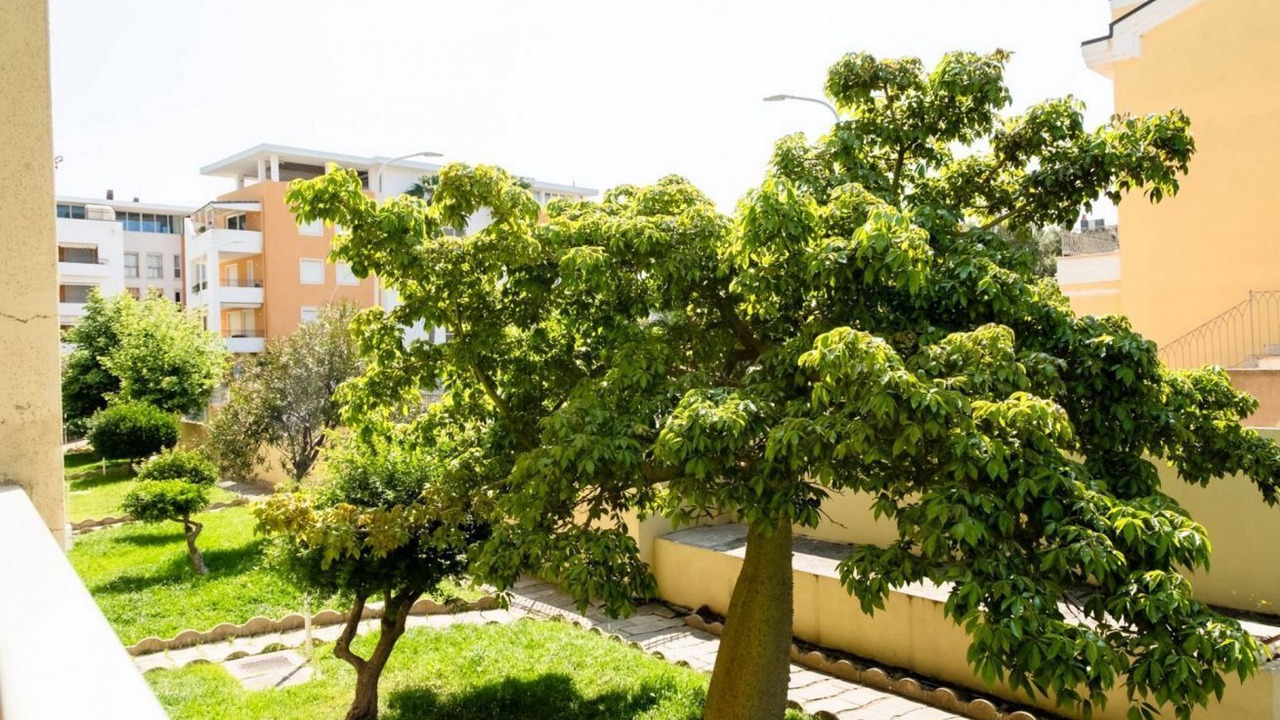 Photo of Outdoor in Lido