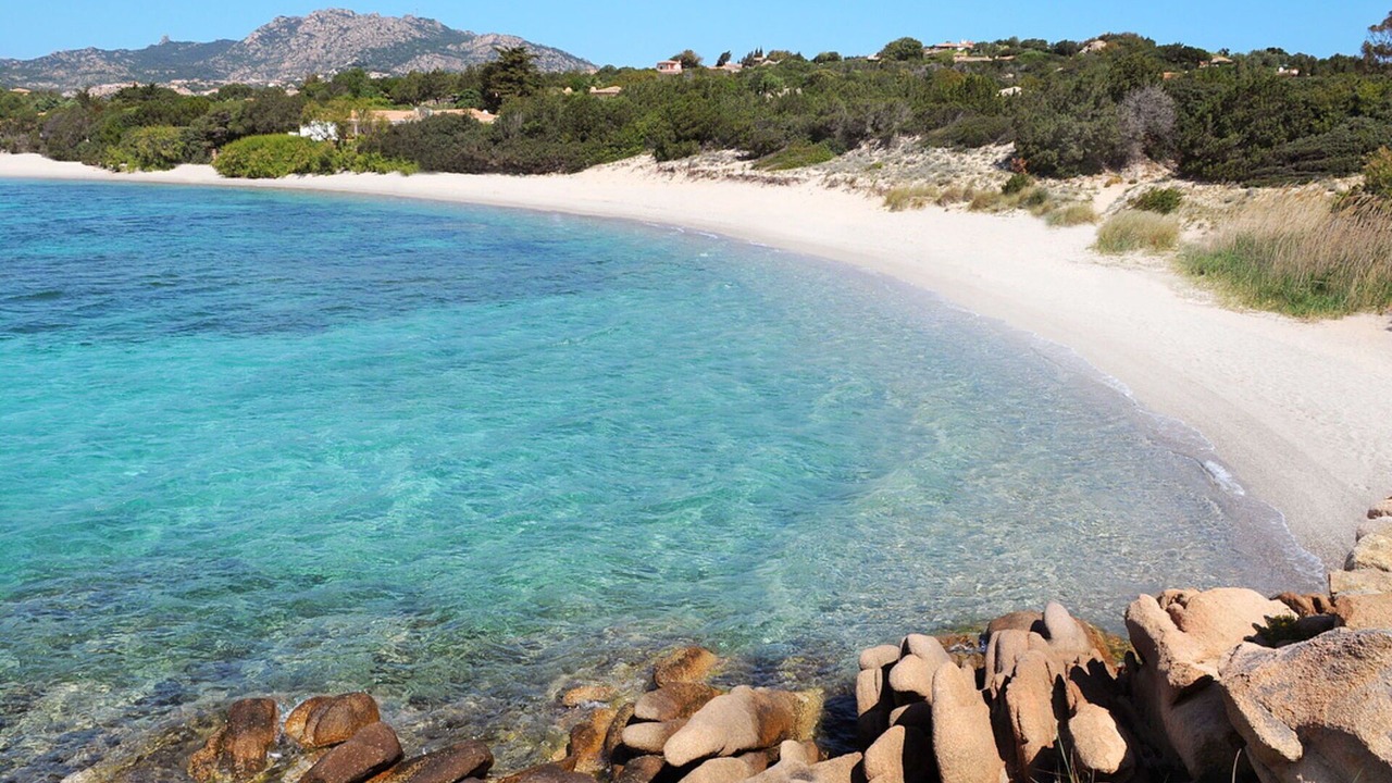 Photo of Others in Porto Cervo