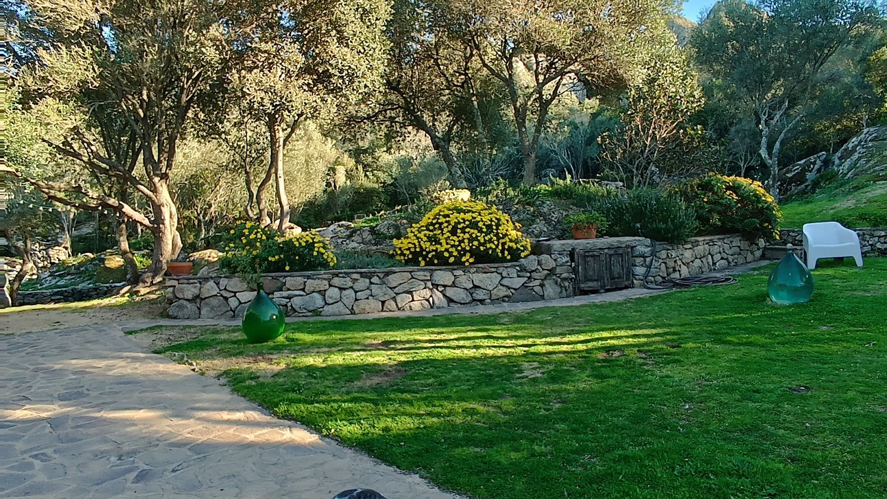 Photo of Outdoor in Arzachena