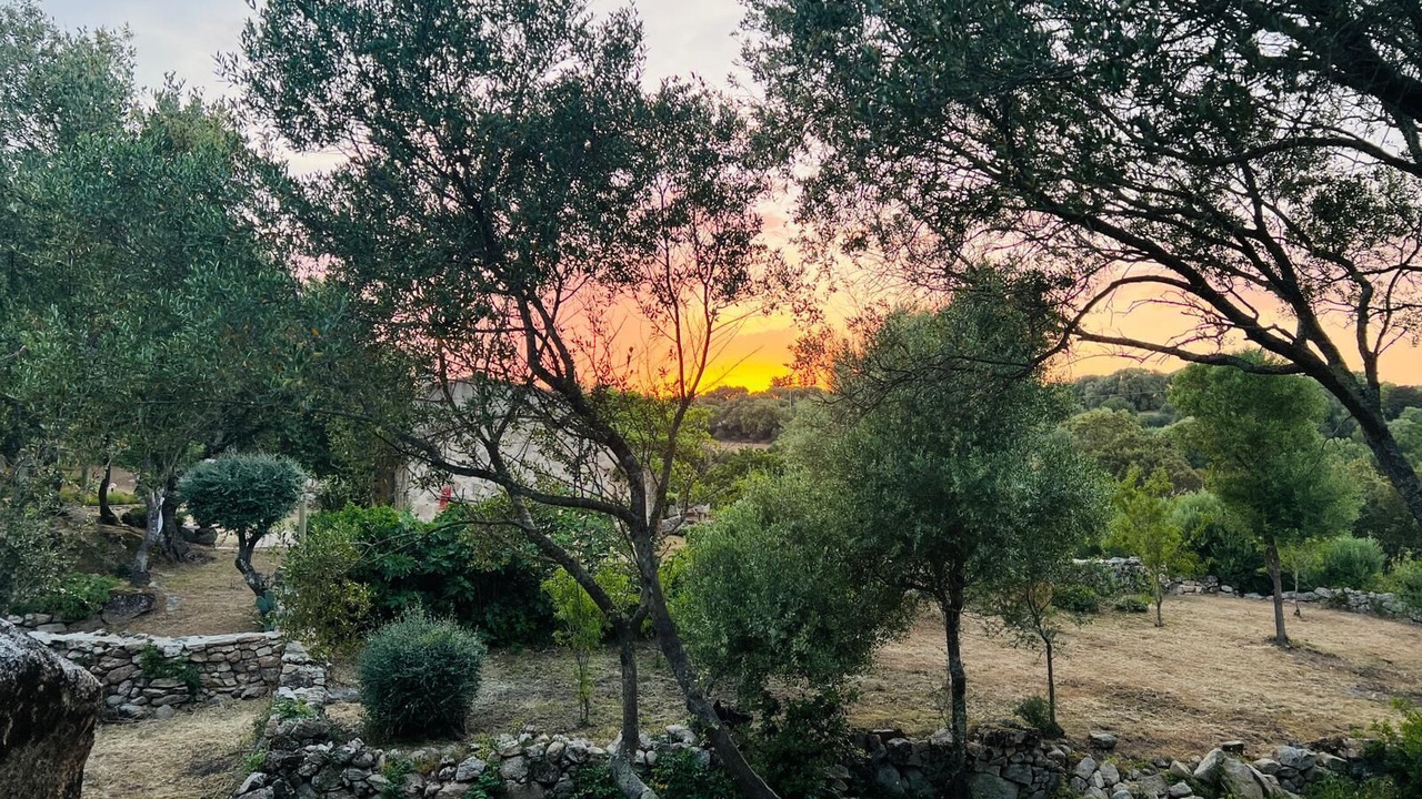 Photo of Others in Arzachena