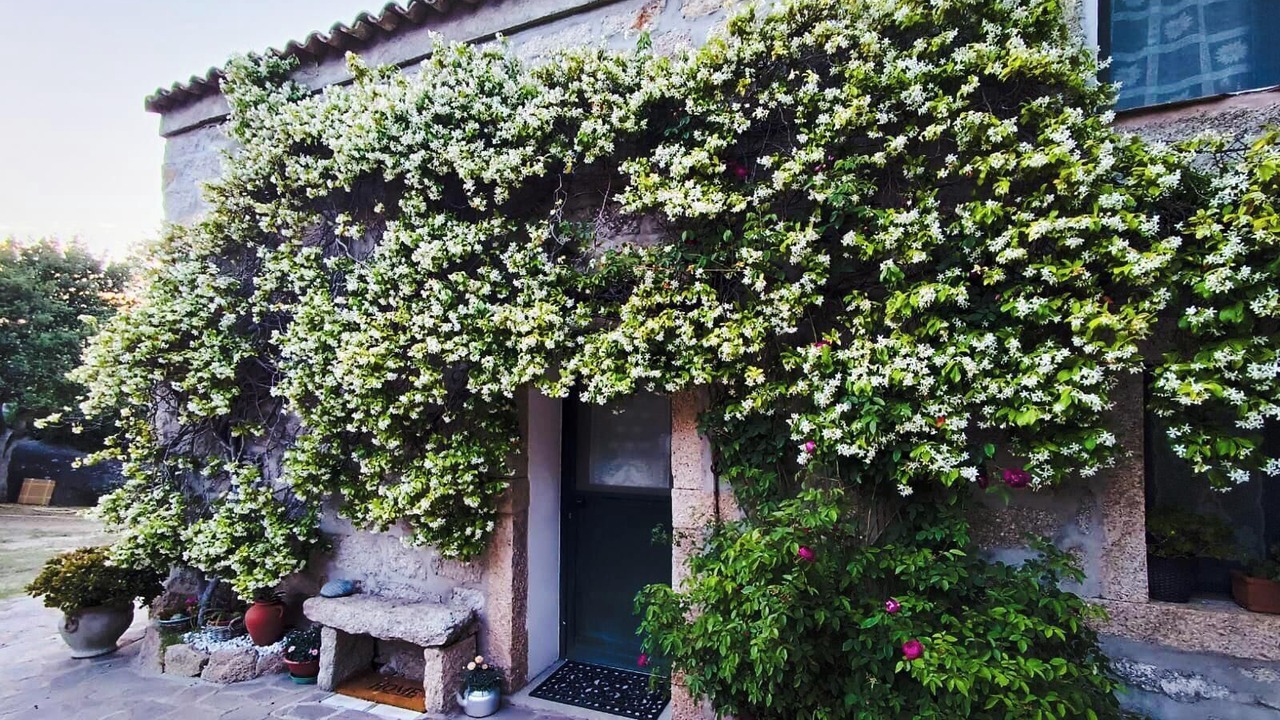 Photo of Outdoor in Arzachena