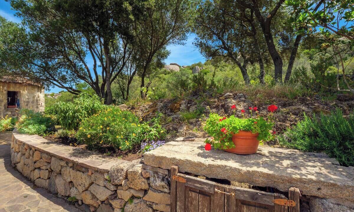 Photo of Outdoor in Arzachena