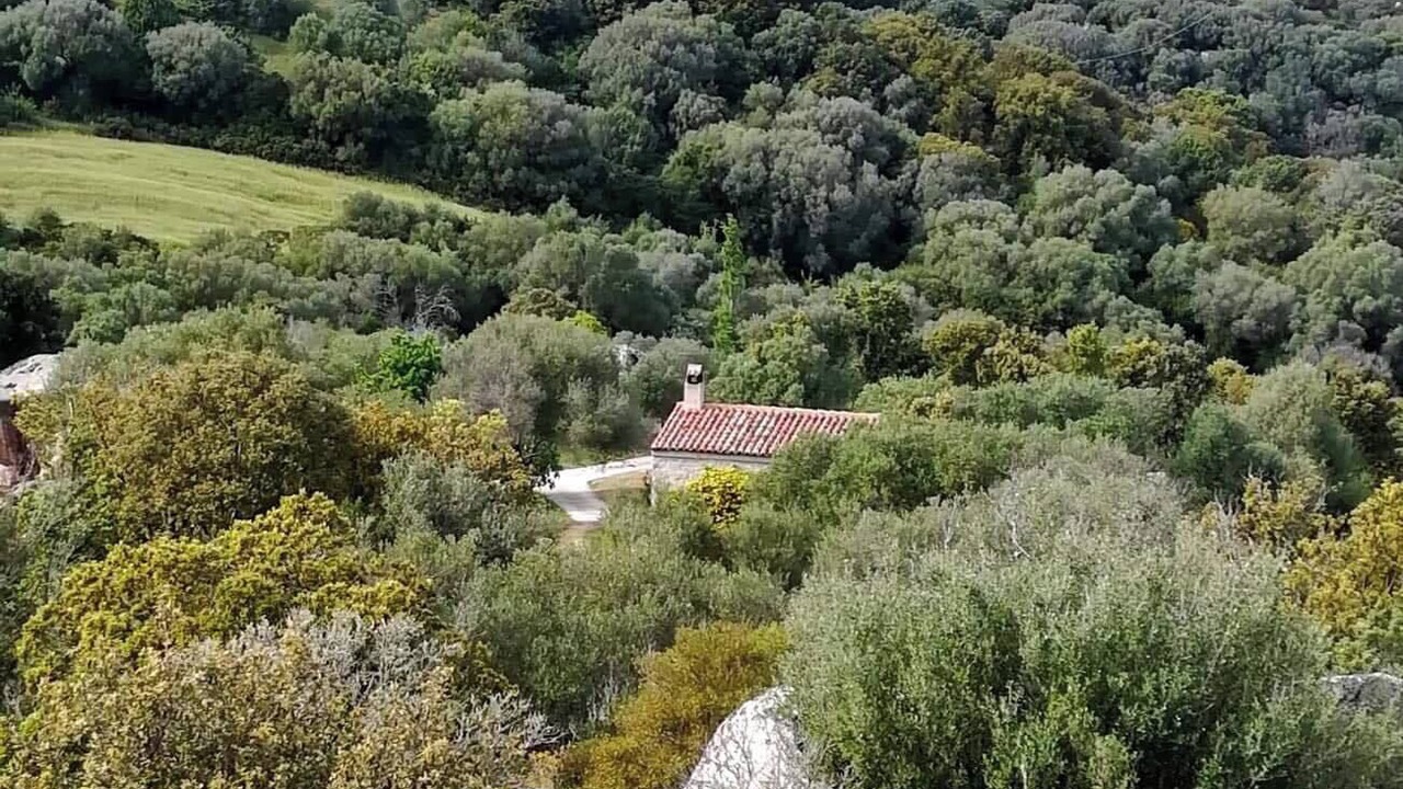Photo of Others in Arzachena