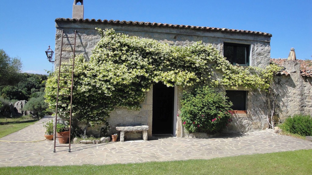 Photo of Outdoor in Arzachena