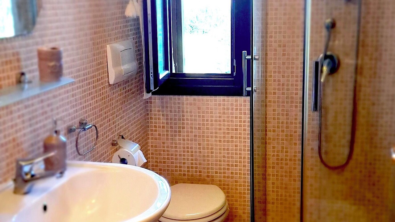 Photo of Bathroom in Viddalba