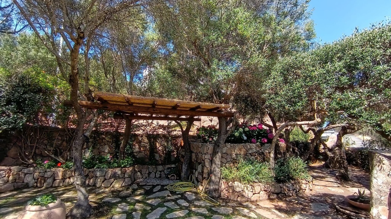 Photo of Outdoor in Porto Istana