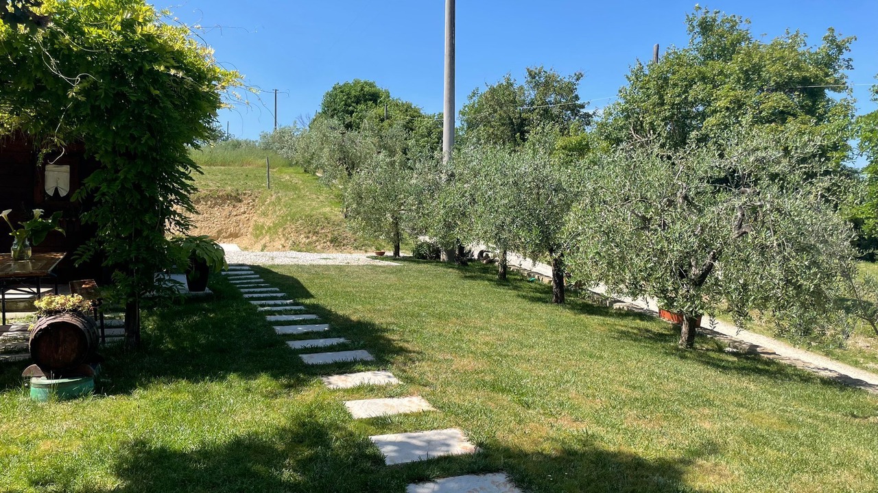 Photo of Outdoor in Motina