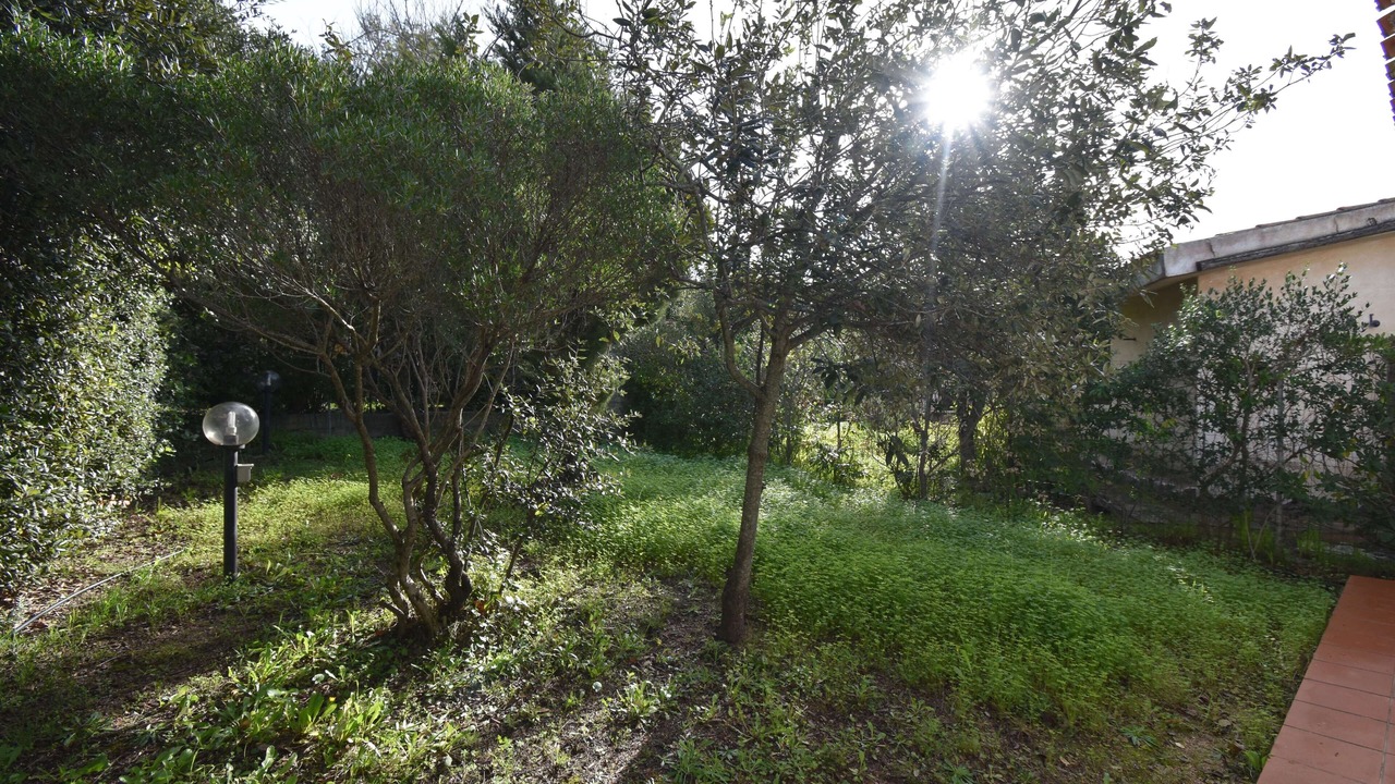 Photo of Outdoor in Rena Majore