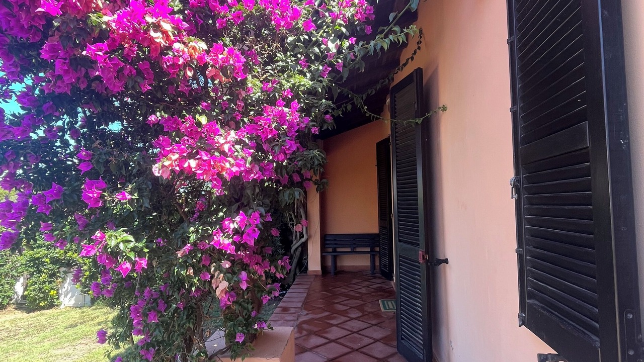 Photo of Patio Balcony in Calasetta
