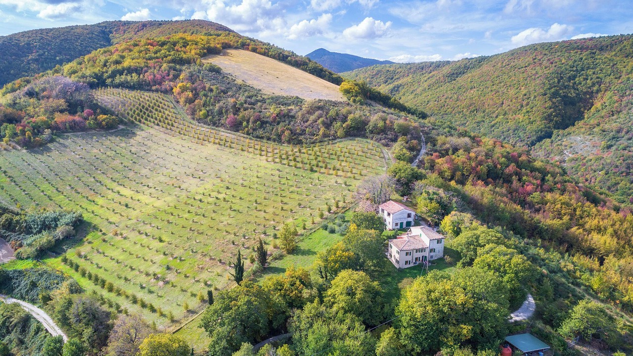 Photo of Outdoor in Arcevia