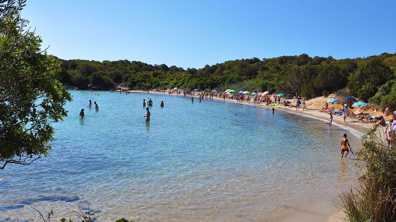 Photo of Others in Porto Pollo