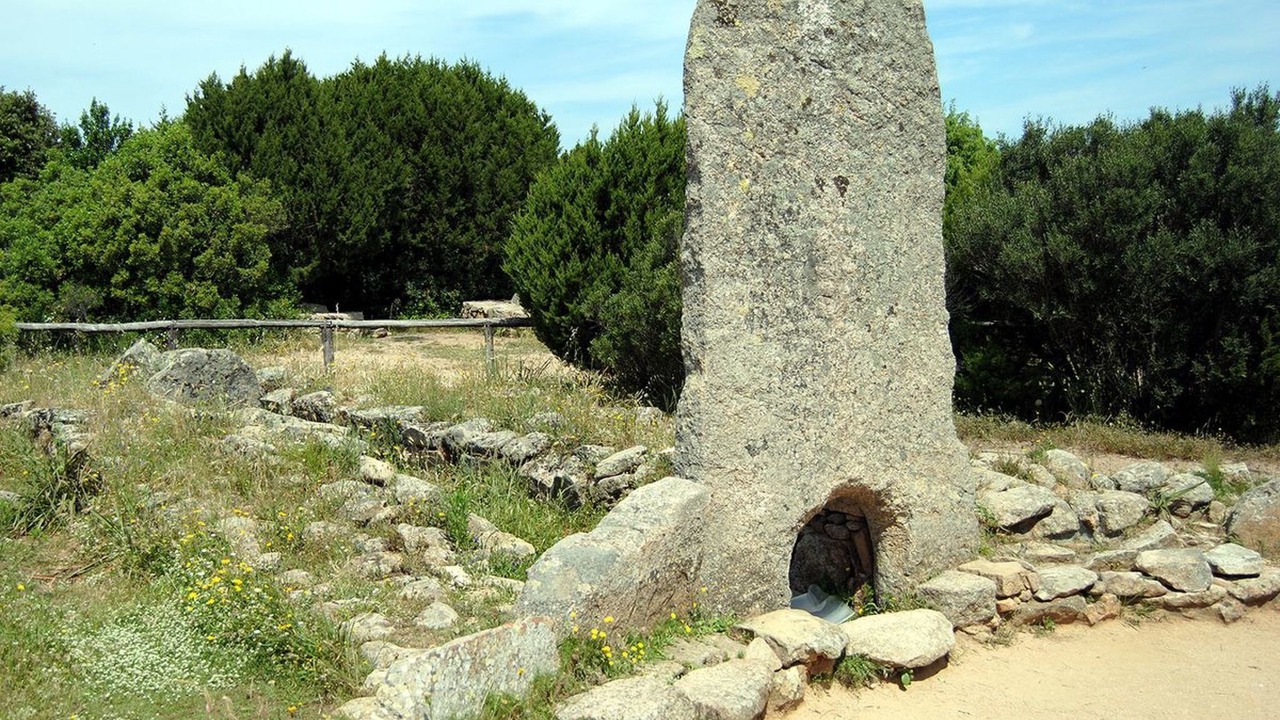 Photo of Others in Porto Pollo