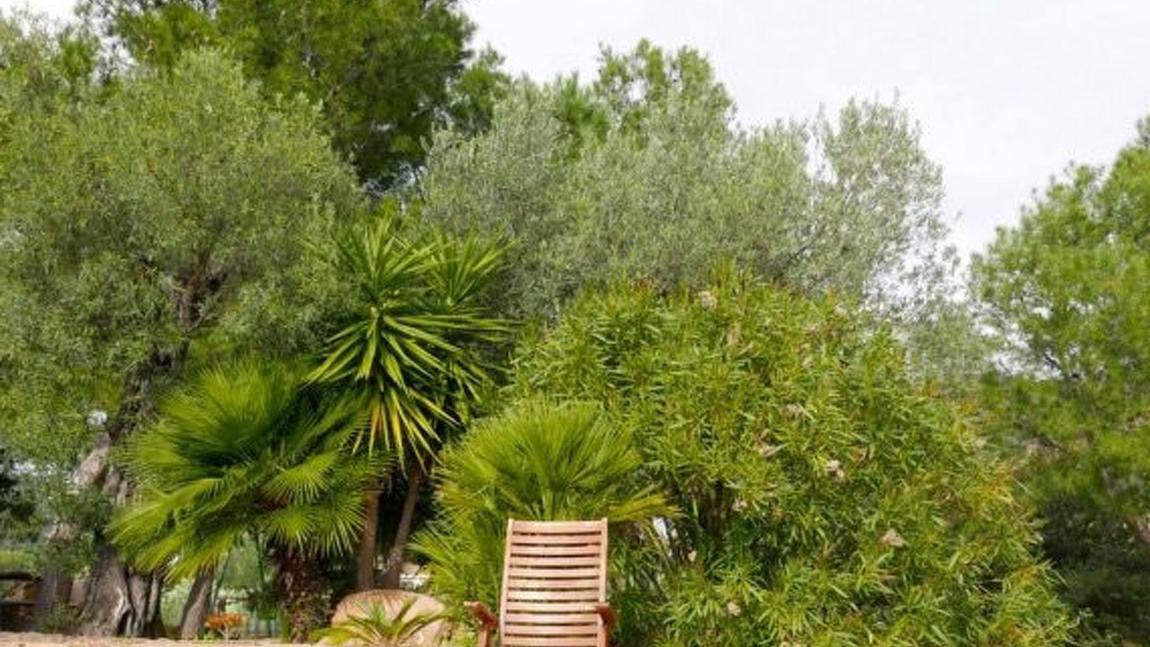 Photo of Outdoor in Orosei