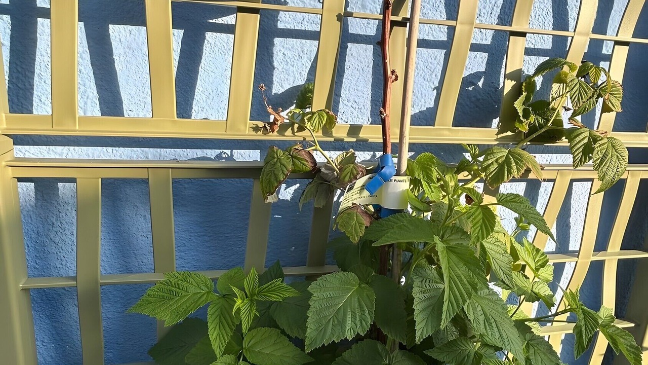 Photo of Outdoor in Ilbono