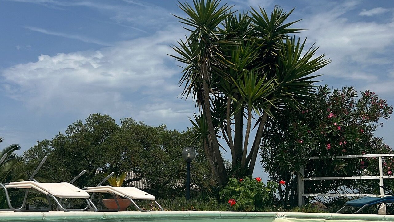 Photo of Outdoor in Nulvi