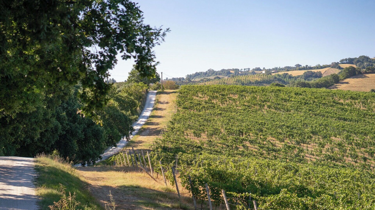 Photo of Outdoor in Cupramontana