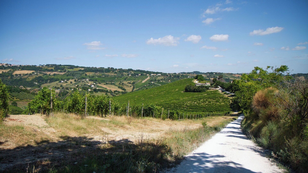 Photo of Outdoor in Cupramontana