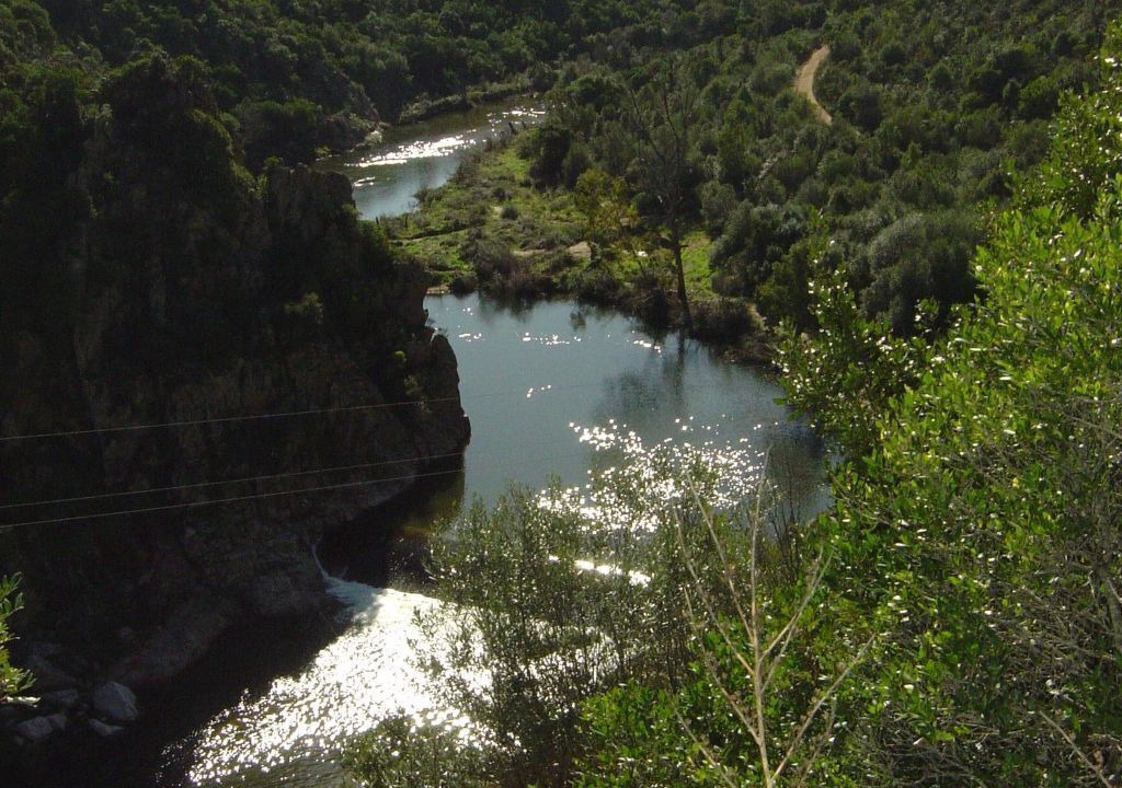 Photo of Others in Loiri Porto San Paolo