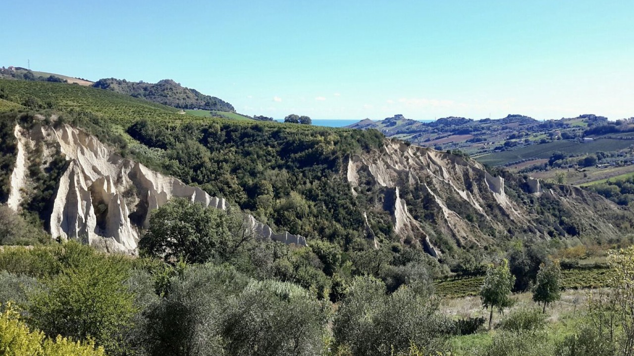 Photo of Others in Monteprandone