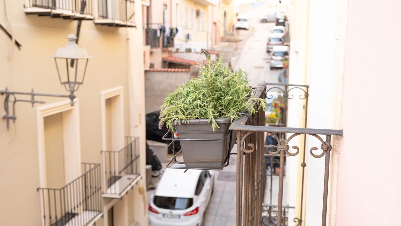 Photo of Outdoor in Cagliari