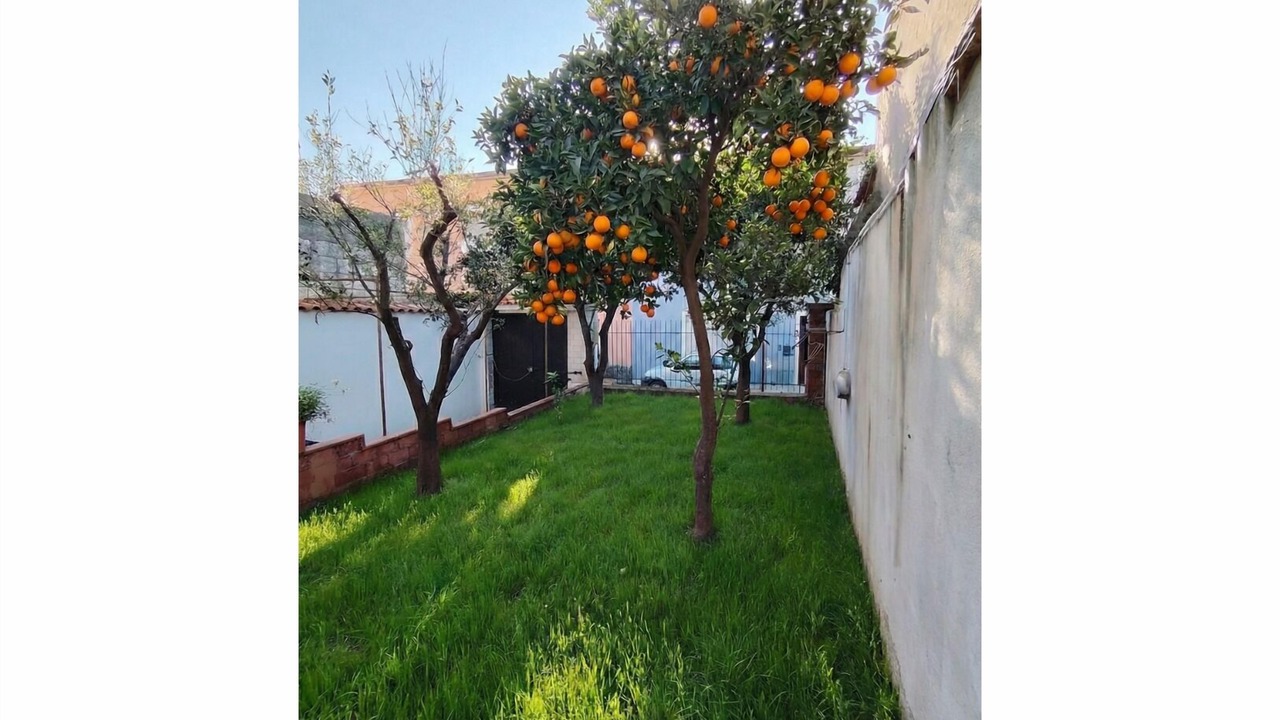 Photo of Outdoor in Sorso