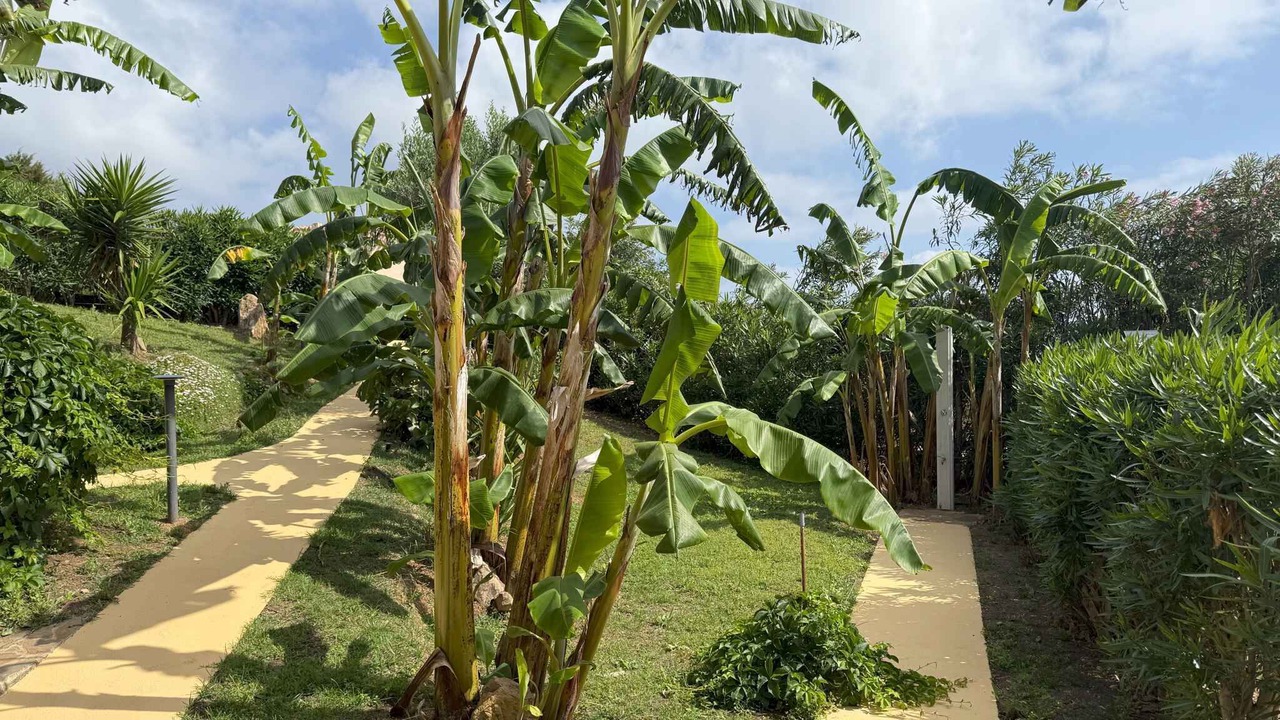 Photo of Outdoor in Punta De Su Turrione