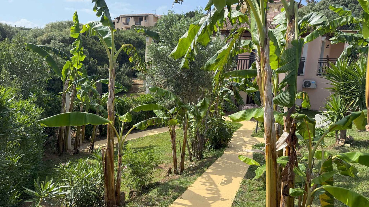 Photo of Outdoor in Punta De Su Turrione