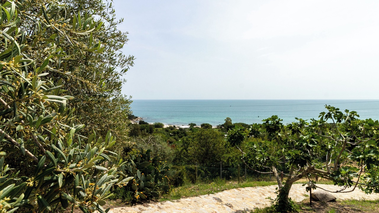 Photo of Others in Lido Orri