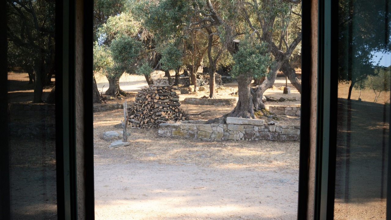 Photo of Others in Telti