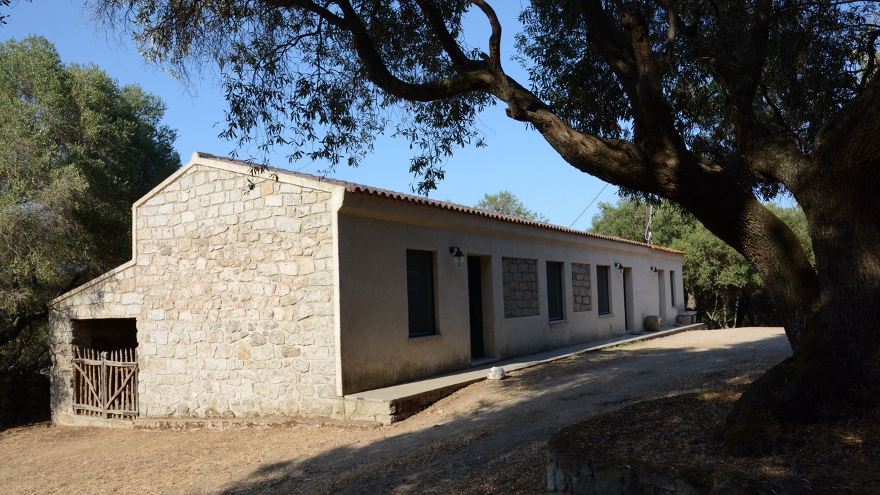 Photo of Outdoor in Telti