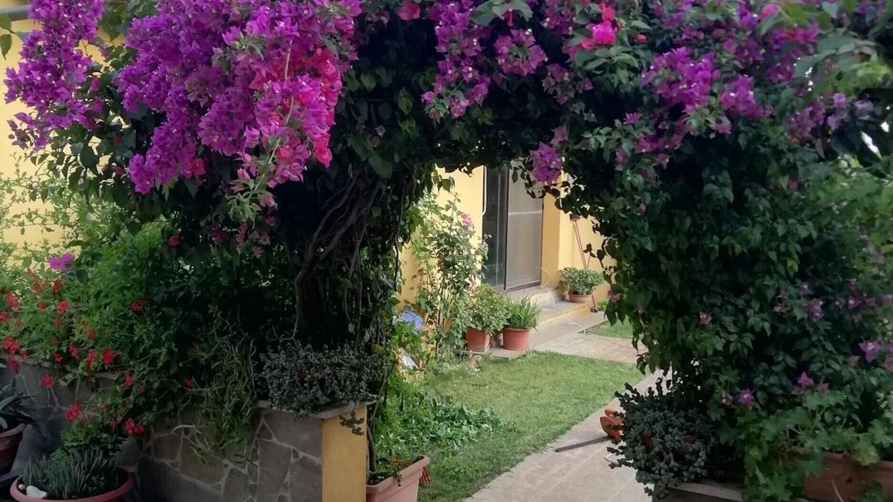 Photo of Outdoor in Riola Sardo
