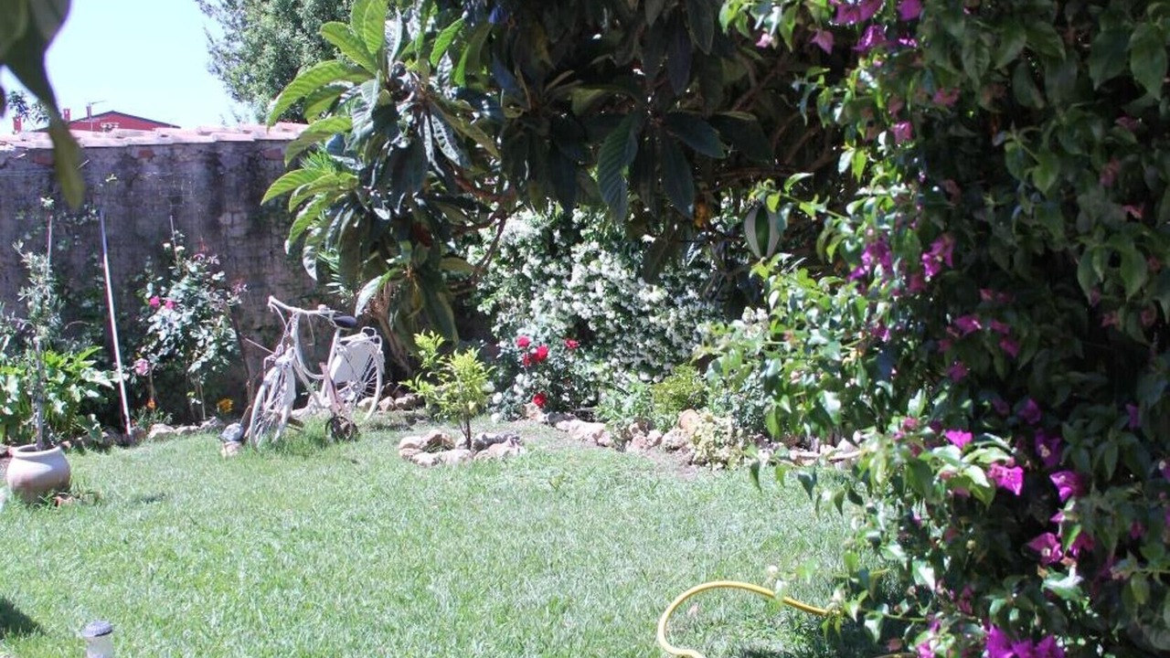 Photo of Outdoor in Riola Sardo