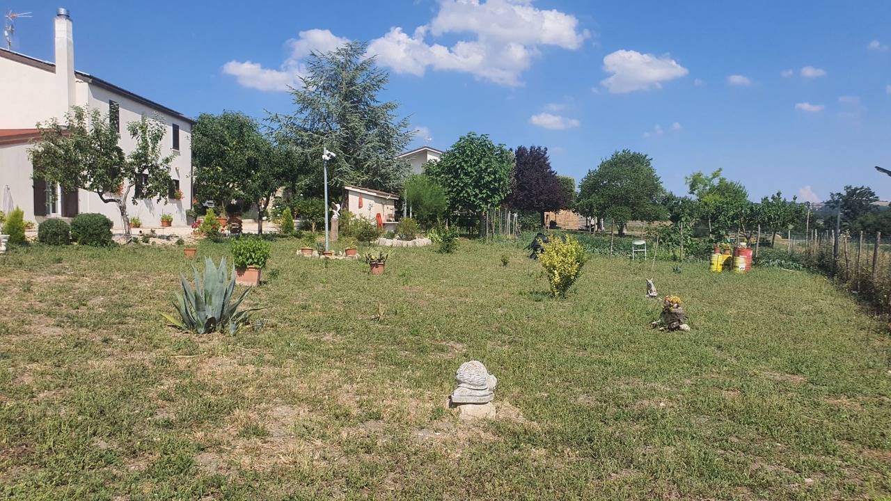 Photo of Others in Cercepiccola