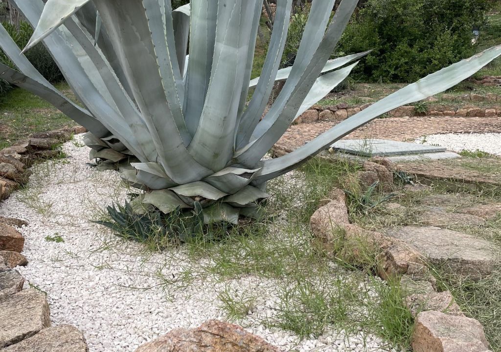 Photo of Outdoor in Porto Istana