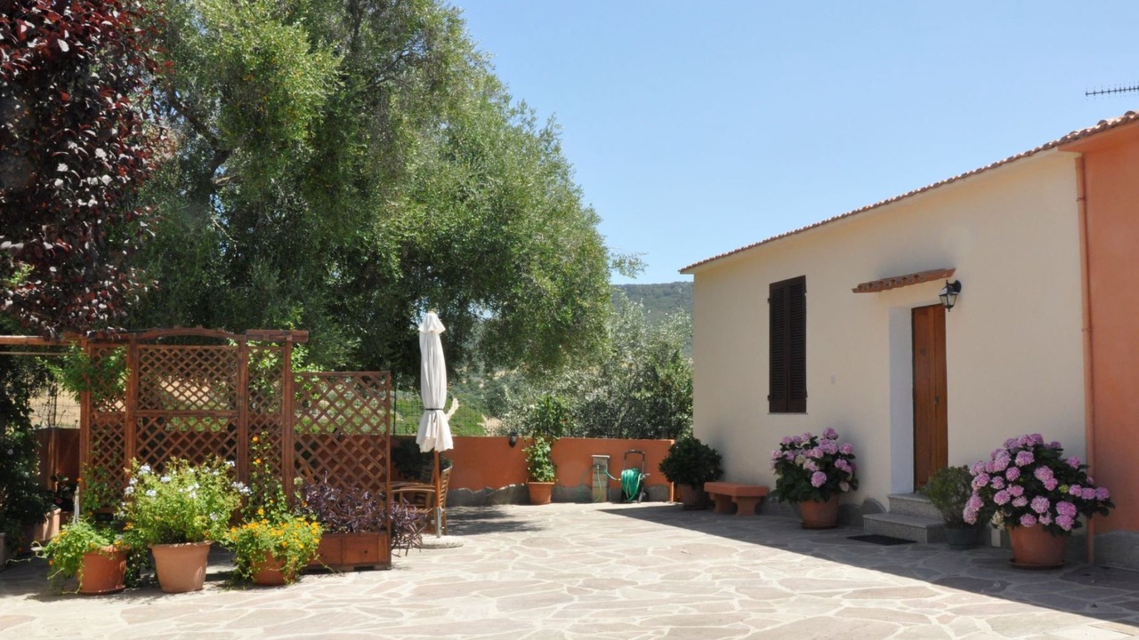 Photo of Patio Balcony in Lu Bagnu