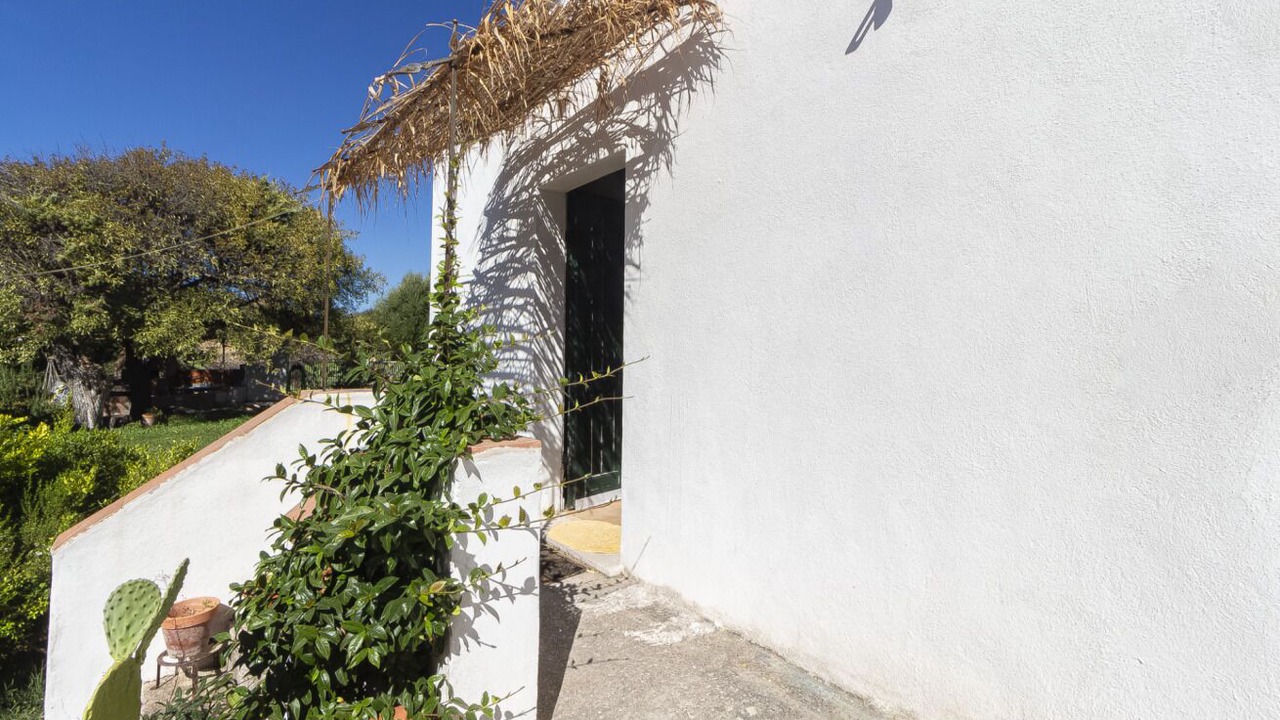 Photo of Outdoor in Sorso