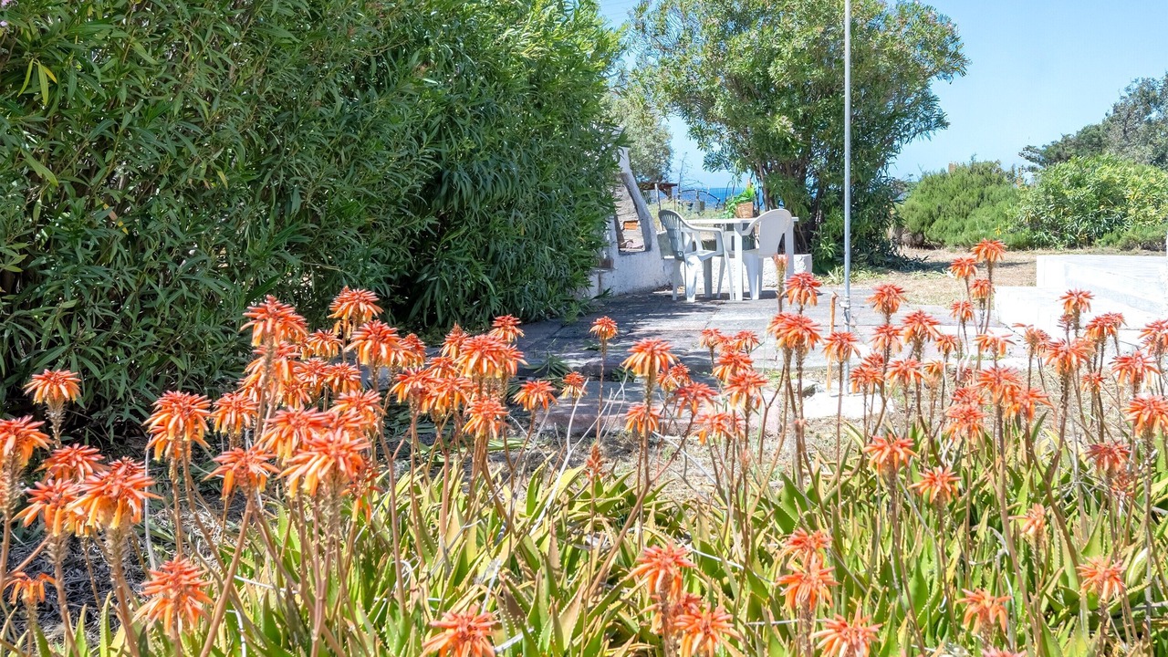 Photo of Outdoor in La Muddizza