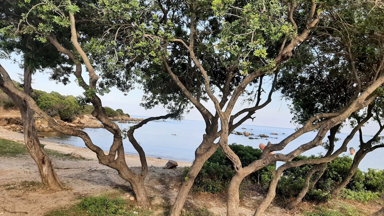 Photo of Others in Porto Ottiolu