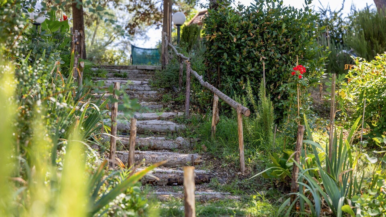 Photo of Outdoor in Monte Fabbri