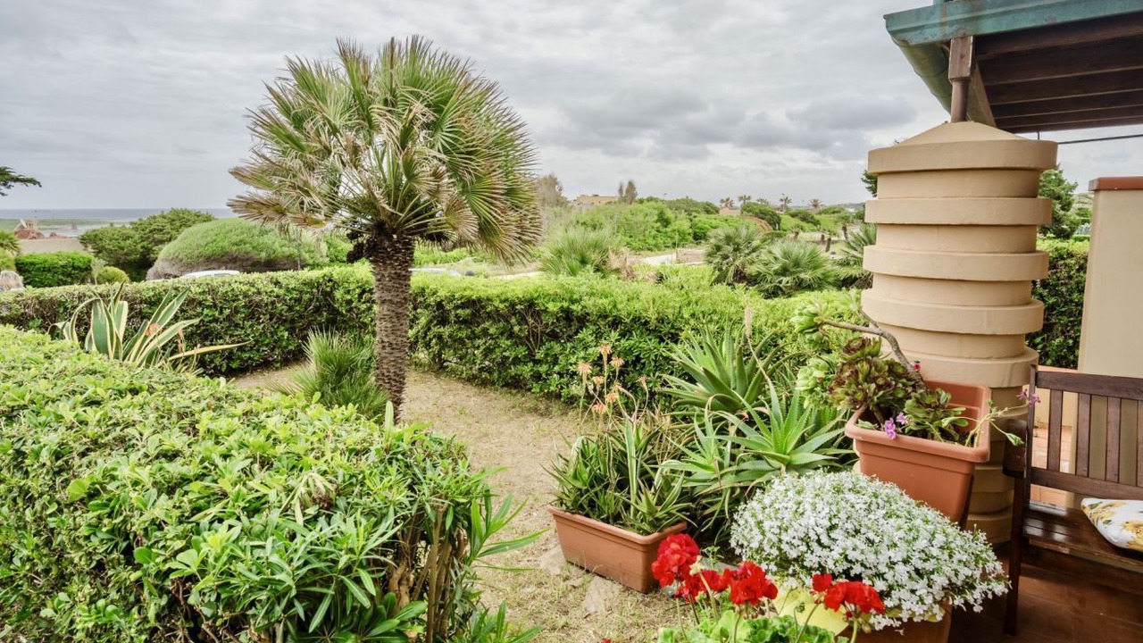 Photo of Outdoor in La Pelosa