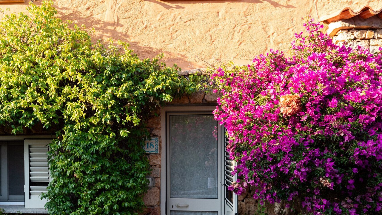 Photo of Outdoor in Porto Istana