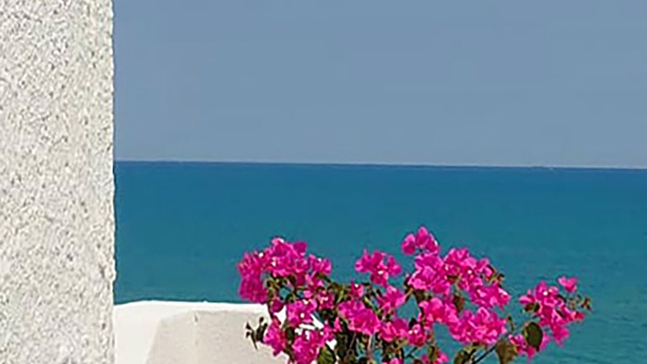 Photo of Others in Vico del Gargano