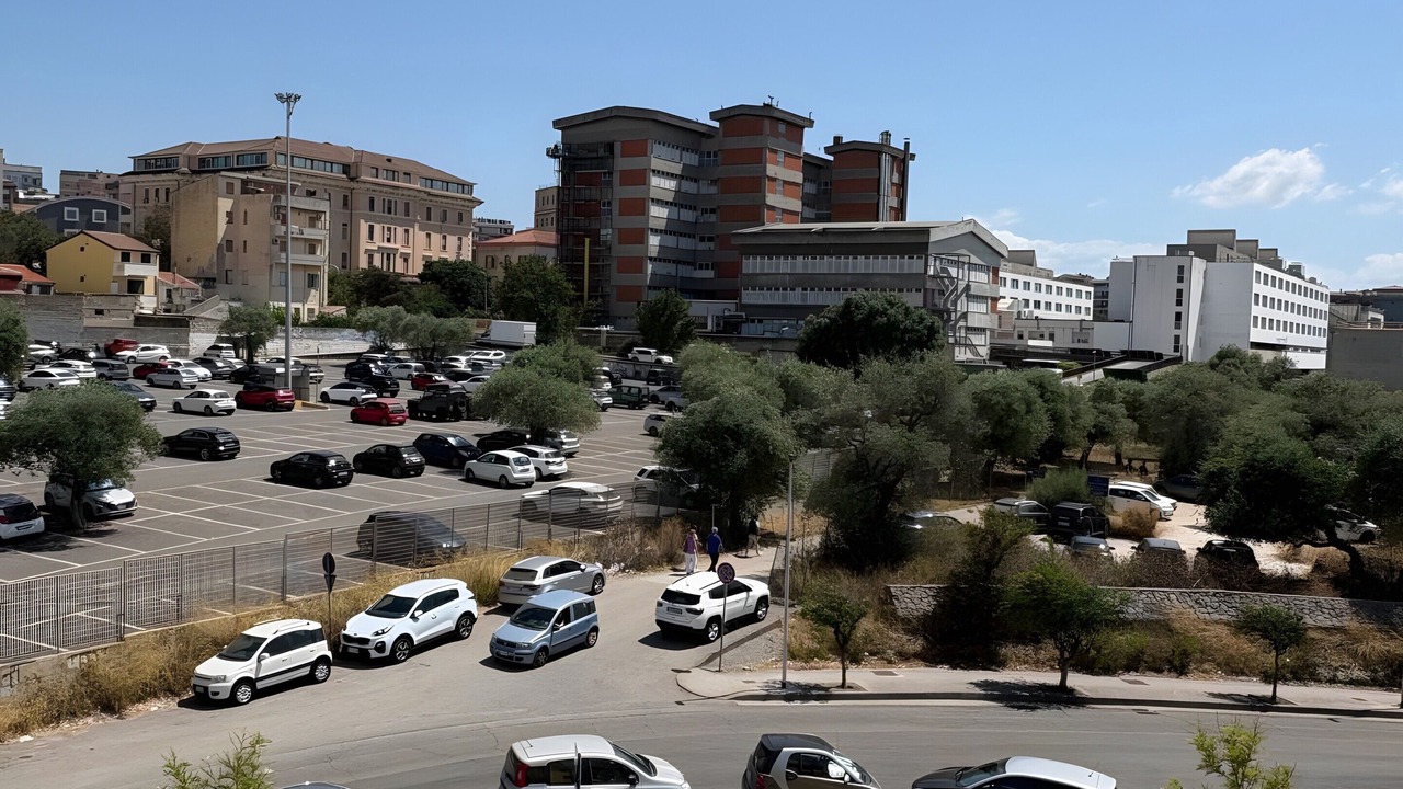Photo of Others in Sassari