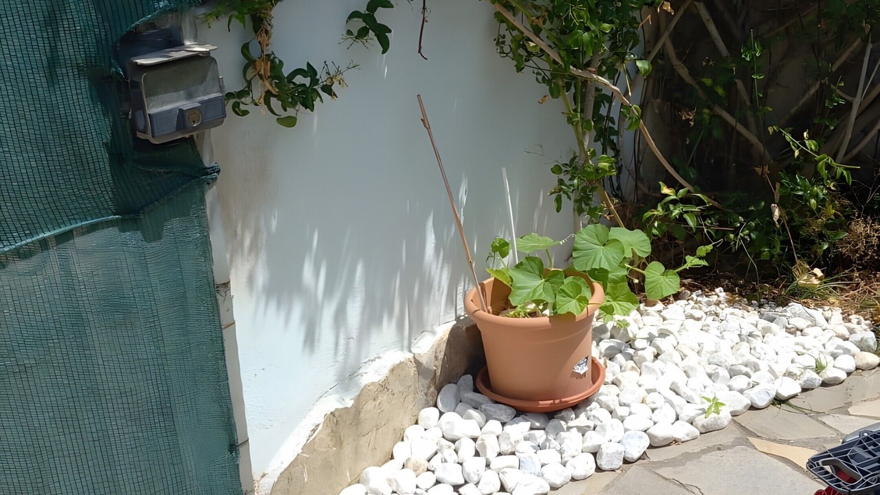 Photo of Outdoor in Capoterra